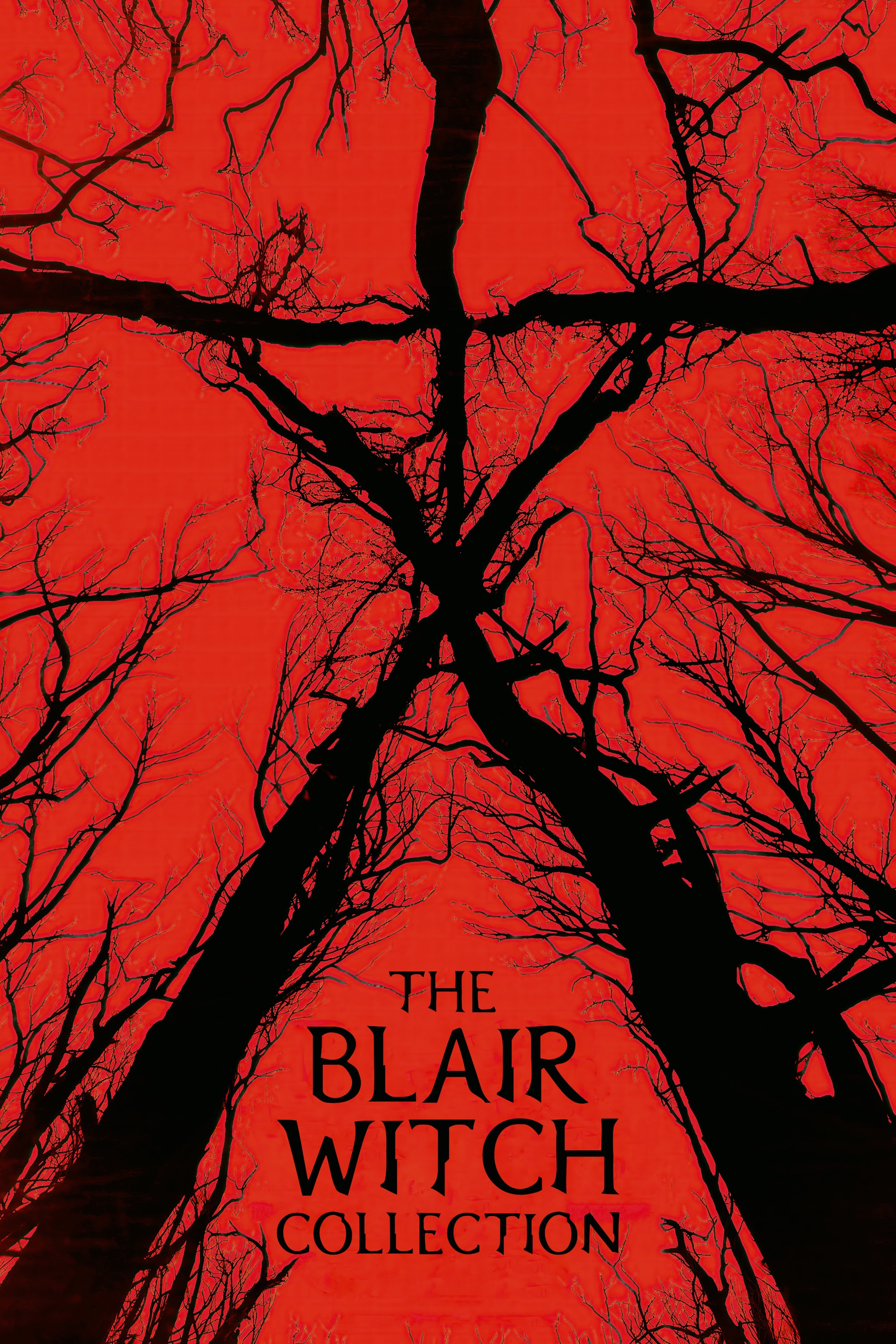 Blair Witch Collection [47716] (A1770725730) (Movies) --Plex--